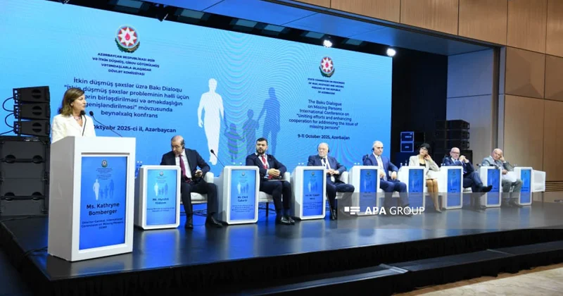 Гендиректор ICMP: Азербайджан поднимает вопрос пропавших без вести на международный уровень