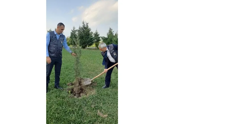 Kəsilmiş ağacların əvəzinə yeni ağaclar əkilib, identifikasiya etiketi vurulub FOTOLAR