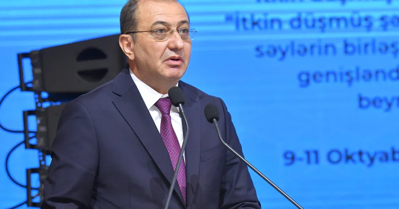 İtkin düşmüş şəxslərlə bağlı problemə həsr olunan konfrans beynəlxalq səyləri artırmaq və əməkdaşlığı gücləndirmək baxımından önəmlidir