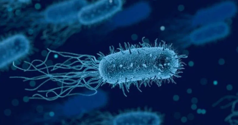Süni intellekt bakteriyaları öldürən viruslar yaratdı Tibbdə yeni dövr başlayır