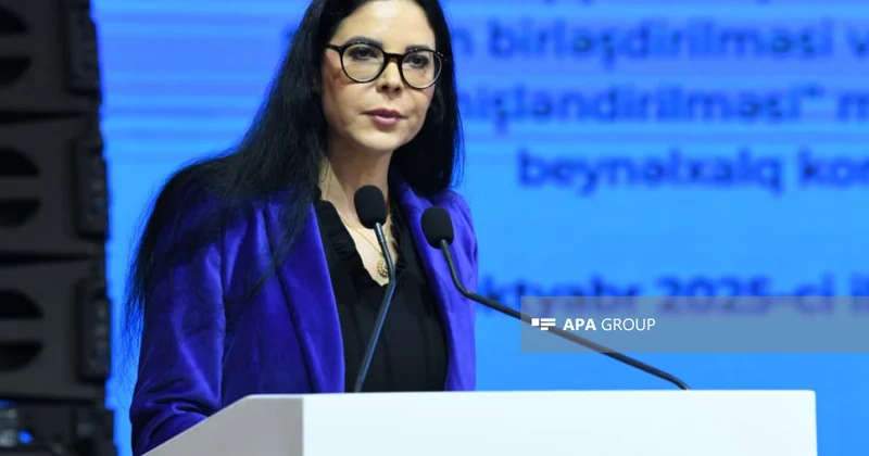 Ana Birçal: Azərbaycanın itkin düşmüş şəxslərlə bağlı beynəlxalq əməkdaşlıqda təcrübəsi nümunədir