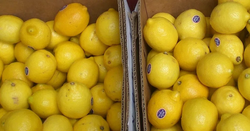 Limon alarkən ehtiyatlı olun