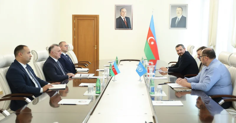 Səhiyyə Nazirliyi ilə BMT nin qurumları arasında əməkdaşlığın əhəmiyyəti vurğulanıb