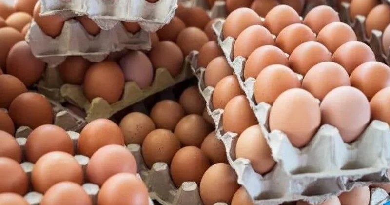 Broyler yumurtası da BAHALAŞACAQ?