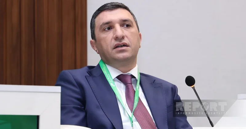 AmCham: Банки в Азербайджане осторожно подходят к проектному финансированию