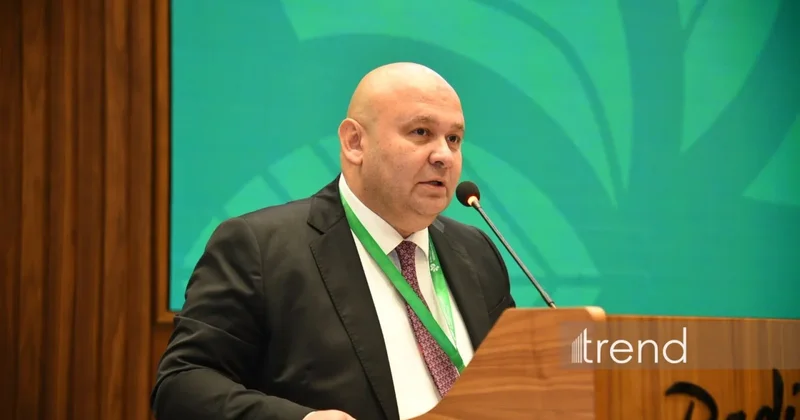 AmCham Azerbaijan призвала укреплять сотрудничество бизнеса и госорганов
