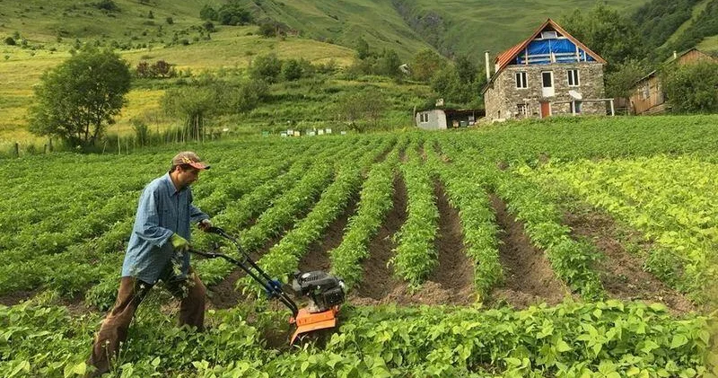 В Азербайджане готовят новый механизм финансирования фермеров