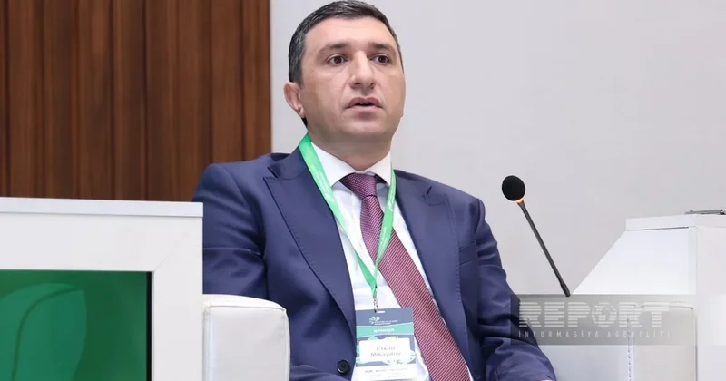 Эльхан Микаилов: Фермерам в Азербайджане не хватает финансовой грамотности