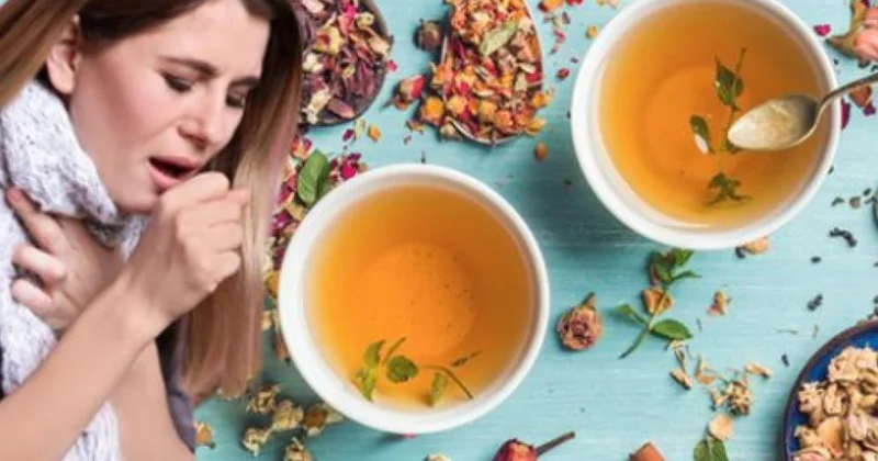 Mövsüm dəyişdi, öskürək epidemiyası başladı: xalq təbabətindən unudulmuş reseptlər