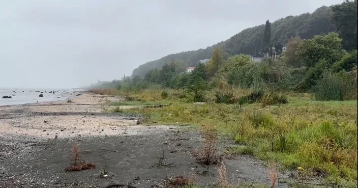 Природный феномен в Азербайджане: на освободившихся от воды участках Каспия выросли сады