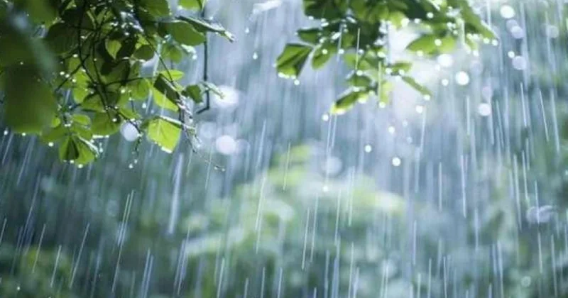 Hava sabah axşamadək yağıntılı olacaq