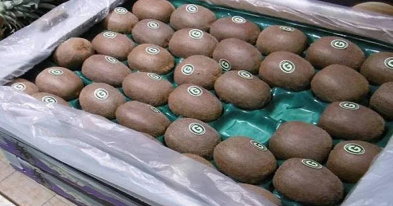 Kivi tromb riskini azaltmağa kömək edə bilər
