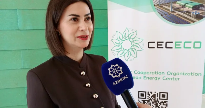 İcraçı direktoru: Enerji və ətraf mühit məsələlərinə vahid yanaşma Xəzər dənizinin sağlam ekosistemi üçün əsas şərtdir