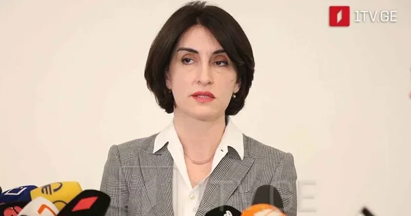Maka Boçorişvili: Gürcüstan TRIPP layihəsi çərçivəsindəki mühüm rol oynayır