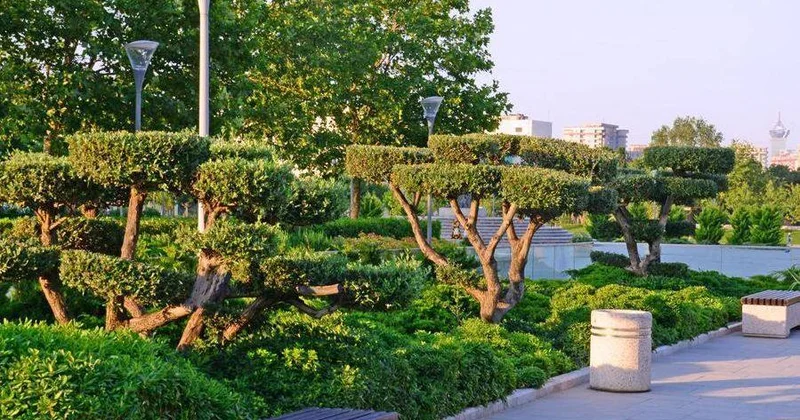 Bakıdan Xankəndiyə qədər uzanan məsələ: Rəsmi addım atıldı