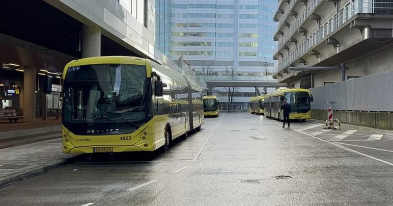 Bu ölkədə sürücülər tətil edir: Avtobuslar işləməyəcək