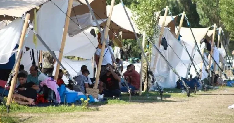 В Нидерландах беженцы ночуют под открытым небом из за нехватки мест