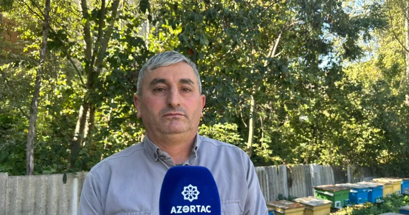Arıçı Ağadadaş Abbasov: Bu peşədə hər fəslin özünəməxsus çətinliyi var