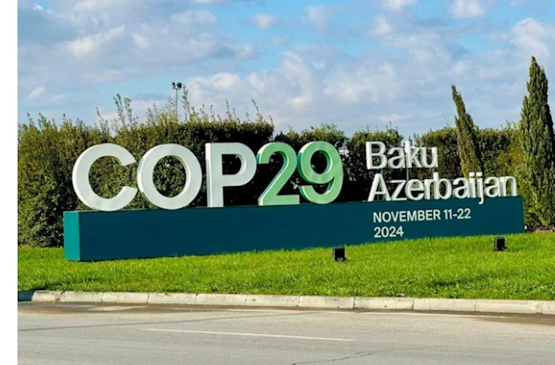 COP 29 zolağı üzrə mediatur təşkil olunub