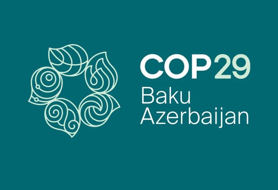 COP29un qədim İpək Yolunun keçdiyi Bakıda keçirilməsi əla fürsətdir Madad Makleyn