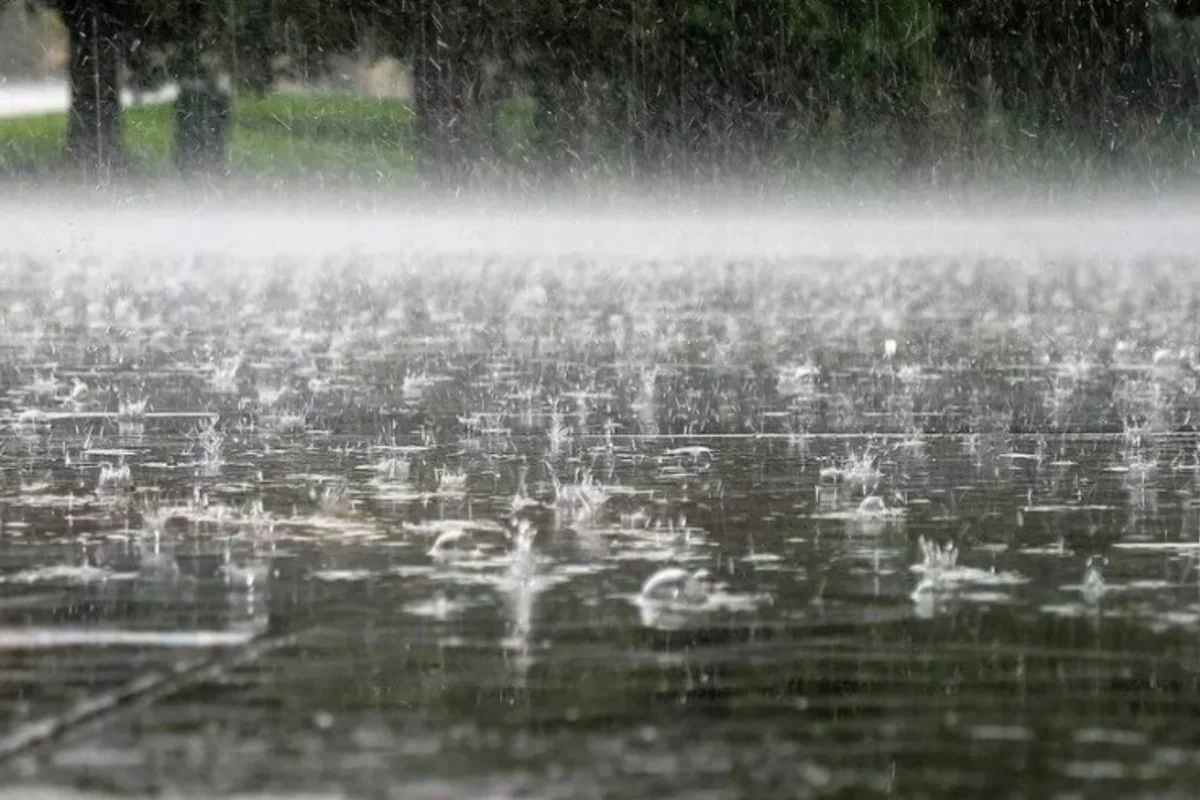 Yağıntılı hava şəraiti bu tarixədək davam edəcək Azərbaycanda özəl xəbərlər, araşdırmalar, təhlillər və müsahibələrin tək ünvanı