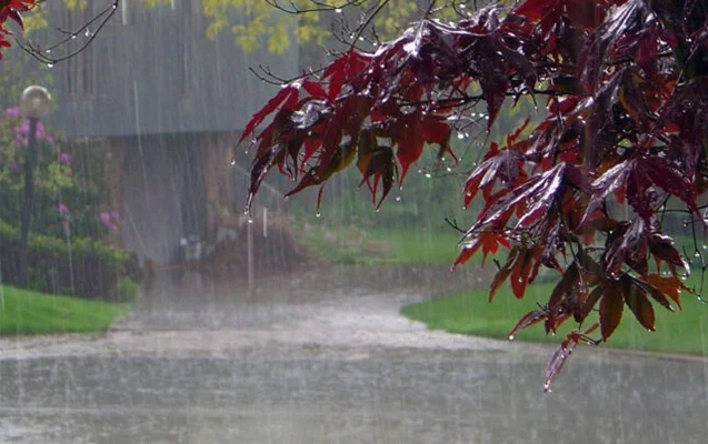 Yağıntılı hava nə vaxta kimi davam edəcək? Yenilənib