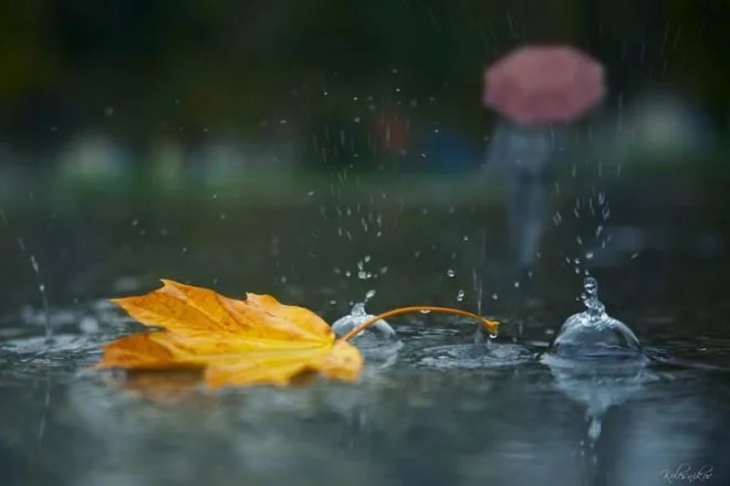 Yağıntılı hava bu vaxta qədər davam EDƏCƏK