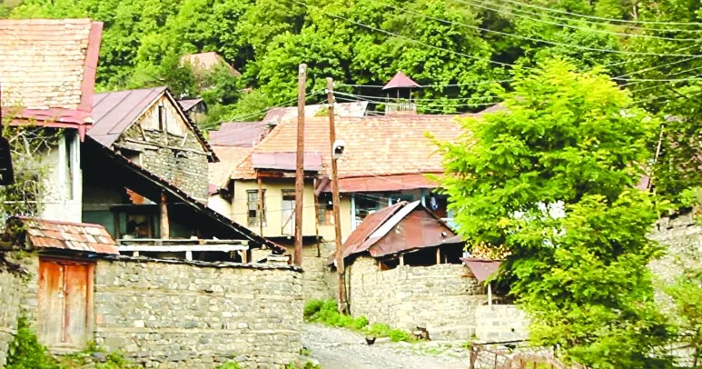 Kəndlər boşalır, cənablar!