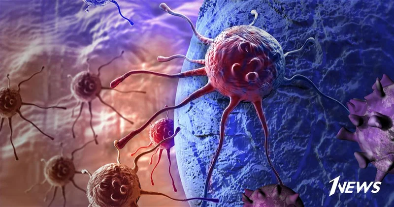 Создан материал, который помогает иммунитету строить защиту против рака