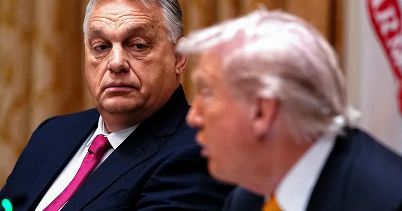 Финансовый щит для Венгрии Орбан решил вопрос с Трампом