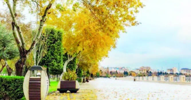 “Son bahar”ın günəşli bazar günü