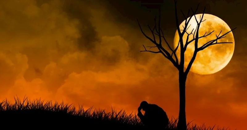 Hər anda bir “kaş” gizlənib