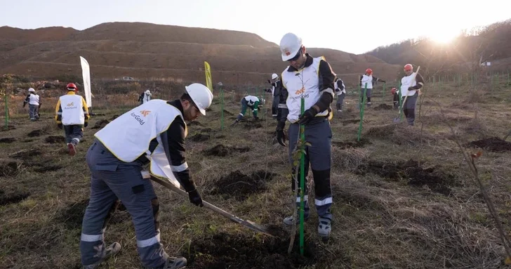 AzerGold провело очередную акцию по озеленению по случаю дня Победы в Дашкесене и Гёйгёле