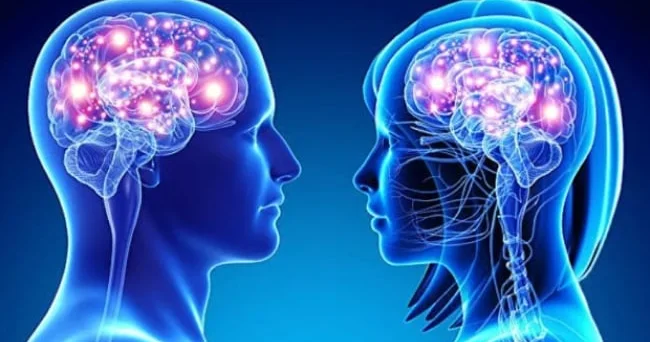 Qadın və kişilər niyə fərqli düşünür: 650 dən çox gen fərqi