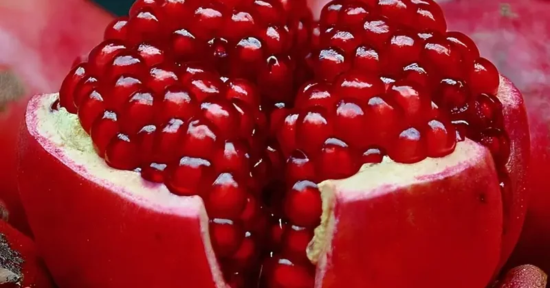 Göyçay “Nar Festivalı”nda narın qiymətləri açıqlanıb