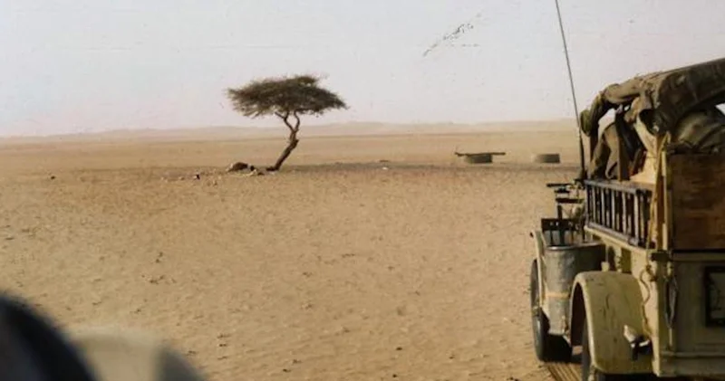 Bir ağac təbiət qanunlarına meydan oxudu və Afrikanın əfsanəsinə çevrildi