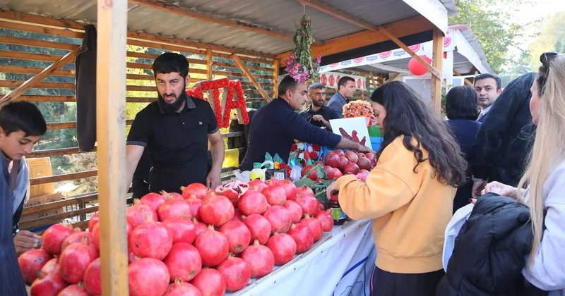 Göyçay narının kilosu 10 manata yüksəldi Satışında REKORD HƏDD
