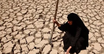 Şəbi hicran yanar canım..?