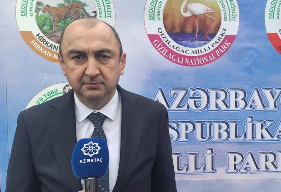 Nazir müavini: Qarabağda yeni Milli Parkın yaradılması ilə bağlı işlər yekunlaşmaq üzrədir