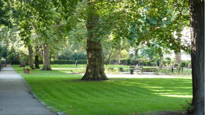 Bakıda parkdan meyit tapıldı