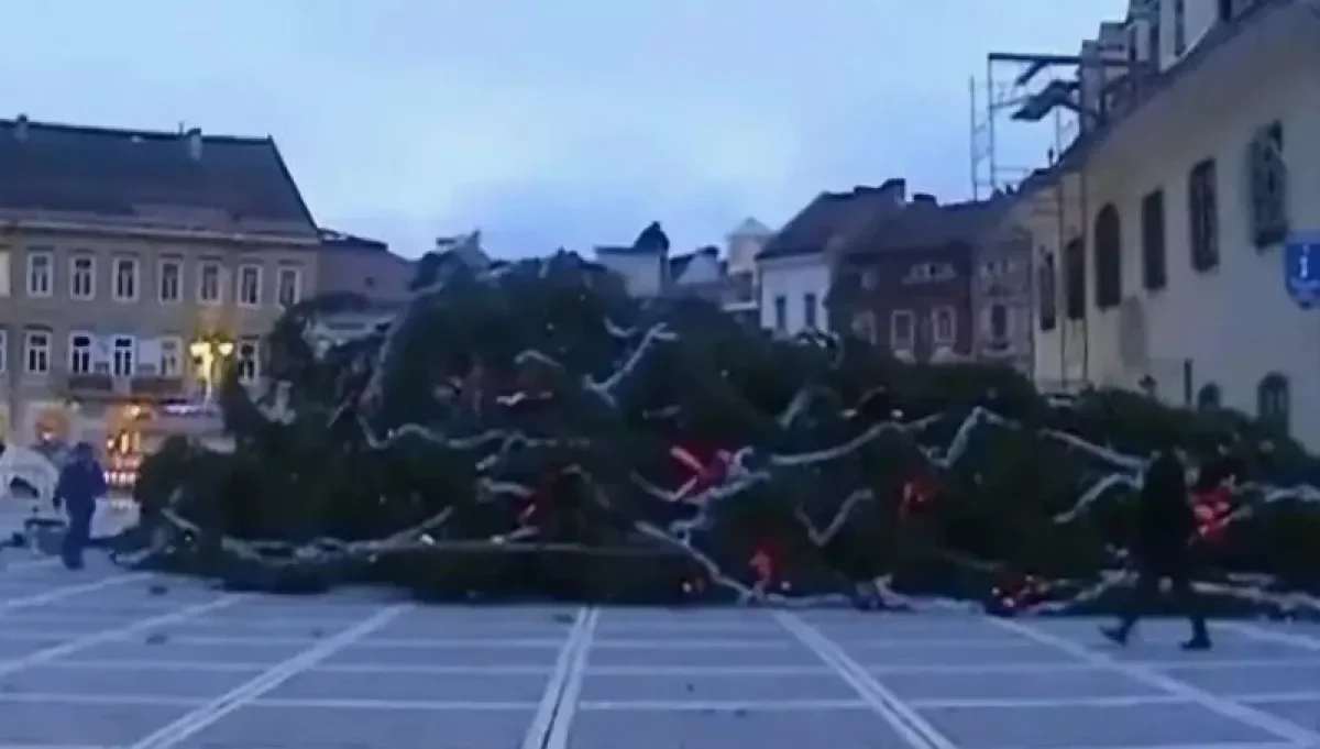 Падение самой высокой рождественской ели в Румынии попало на видео