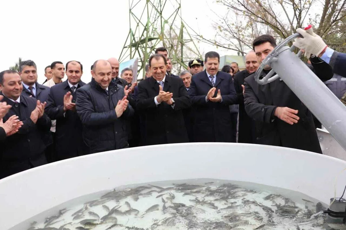 Qızılağac Milli Parkında II Flaminqo festivalı keçirildi