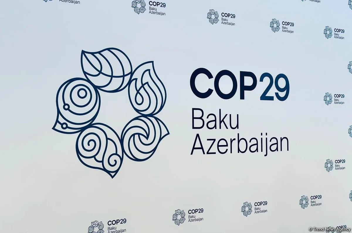 COP29 в Баку: Стратегия зеленой энергетики Азербайджана получает мировое признание