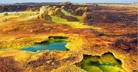 2025 ci il tarixə ən isti il kimi düşə bilər Copernik