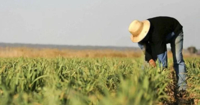 Mülkiyyətindəki torpaqlarda çalışanlar üçün yeni sosial sığorta haqları müəyyənləşir