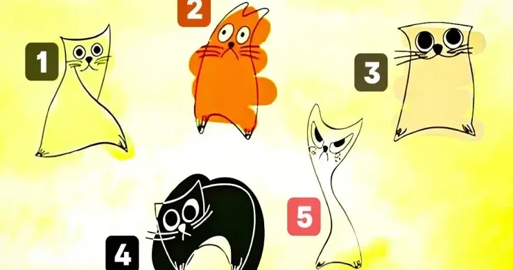 Pişik seçiminiz yaxınlarınızın sizi necə insan hesab etdiyini ortaya çıxaracaq: çox dəqiq TEST