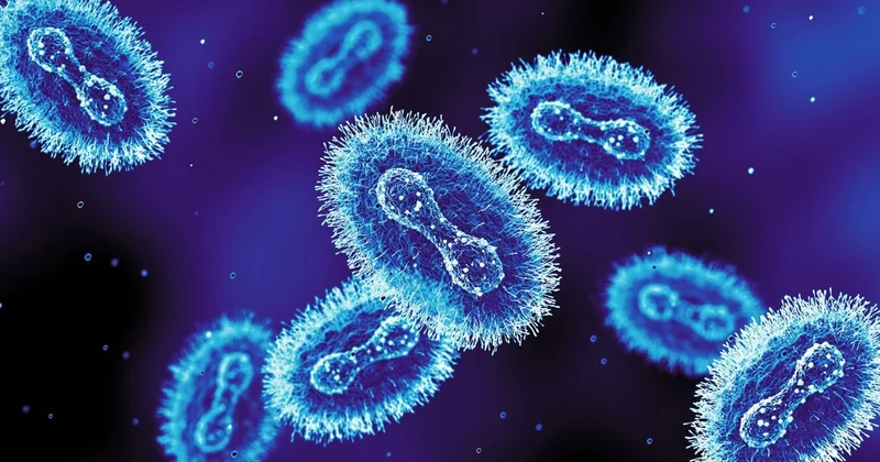 Böyük Britaniyada yeni meymunçiçəyi ştammı aşkar edilib