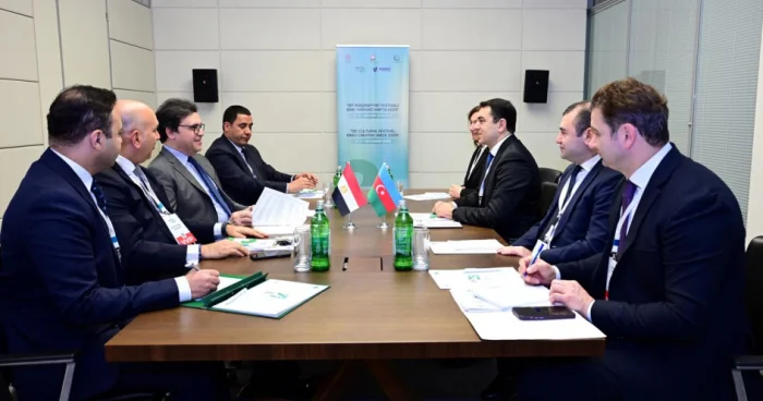 Misirlə mədəni əməkdaşlıq müzakirə olunub