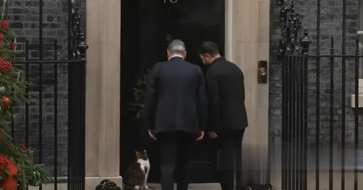 Britaniyanın ən yaxşı pişiyi Zelenskidən imtina edib Rus mediası