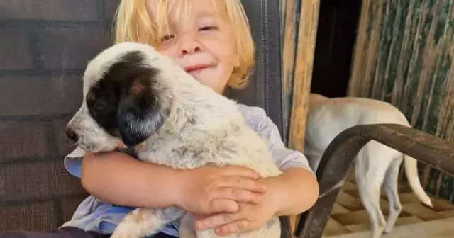 Balacalıqdan böyütdükləri pitbul 2 yaşındaki uşaqlarını öldürdü FOTO